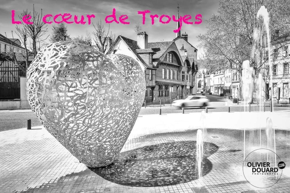 Le Mortier D'Or Duplex Hyper Centre Ville Troyes Exterior photo
